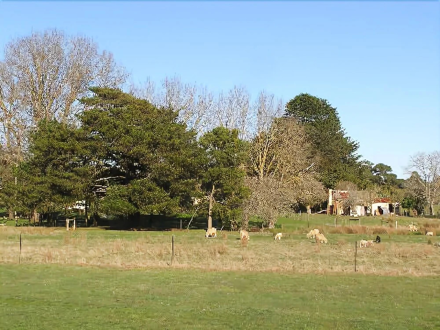 Auberge Bed and Breakfast