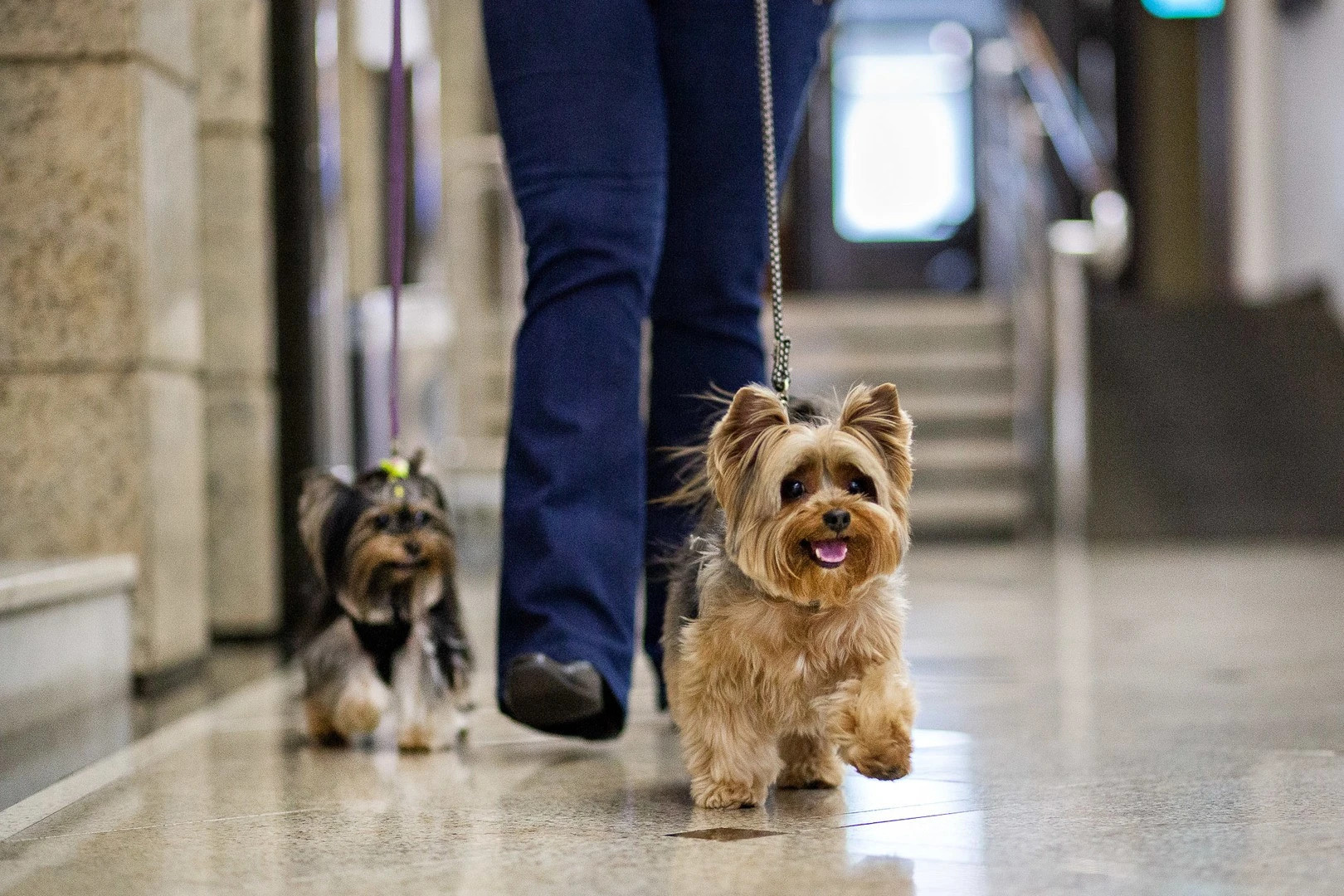 Bourbon Londrina Hotel