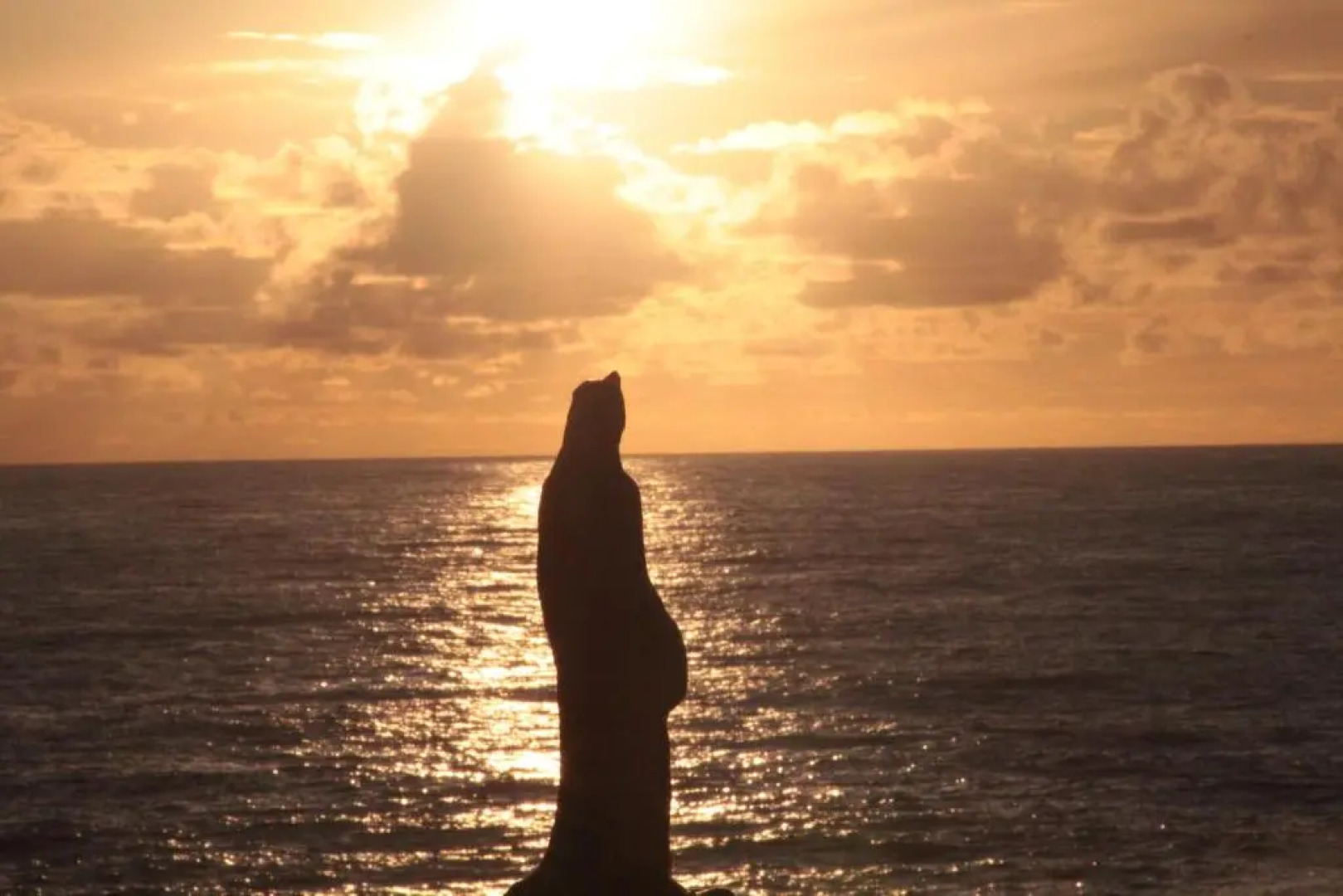 Apartamento Porto Beiramar