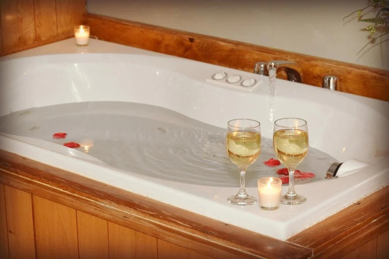 Beagle's Bed & Breakfast