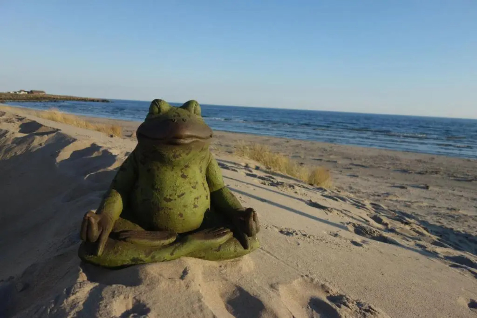 FlipFlop Beach Bar & Rooms