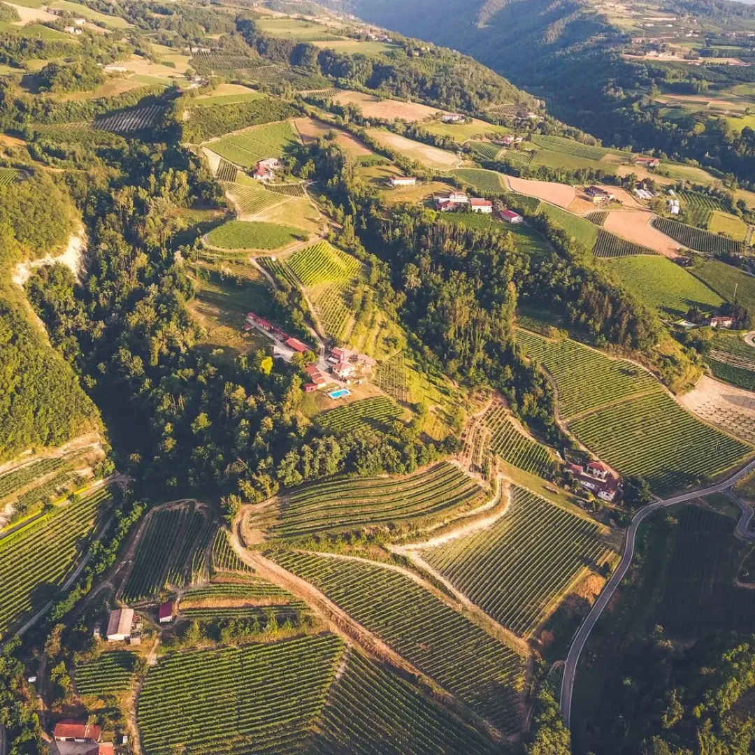 Tenuta MonteOliveto