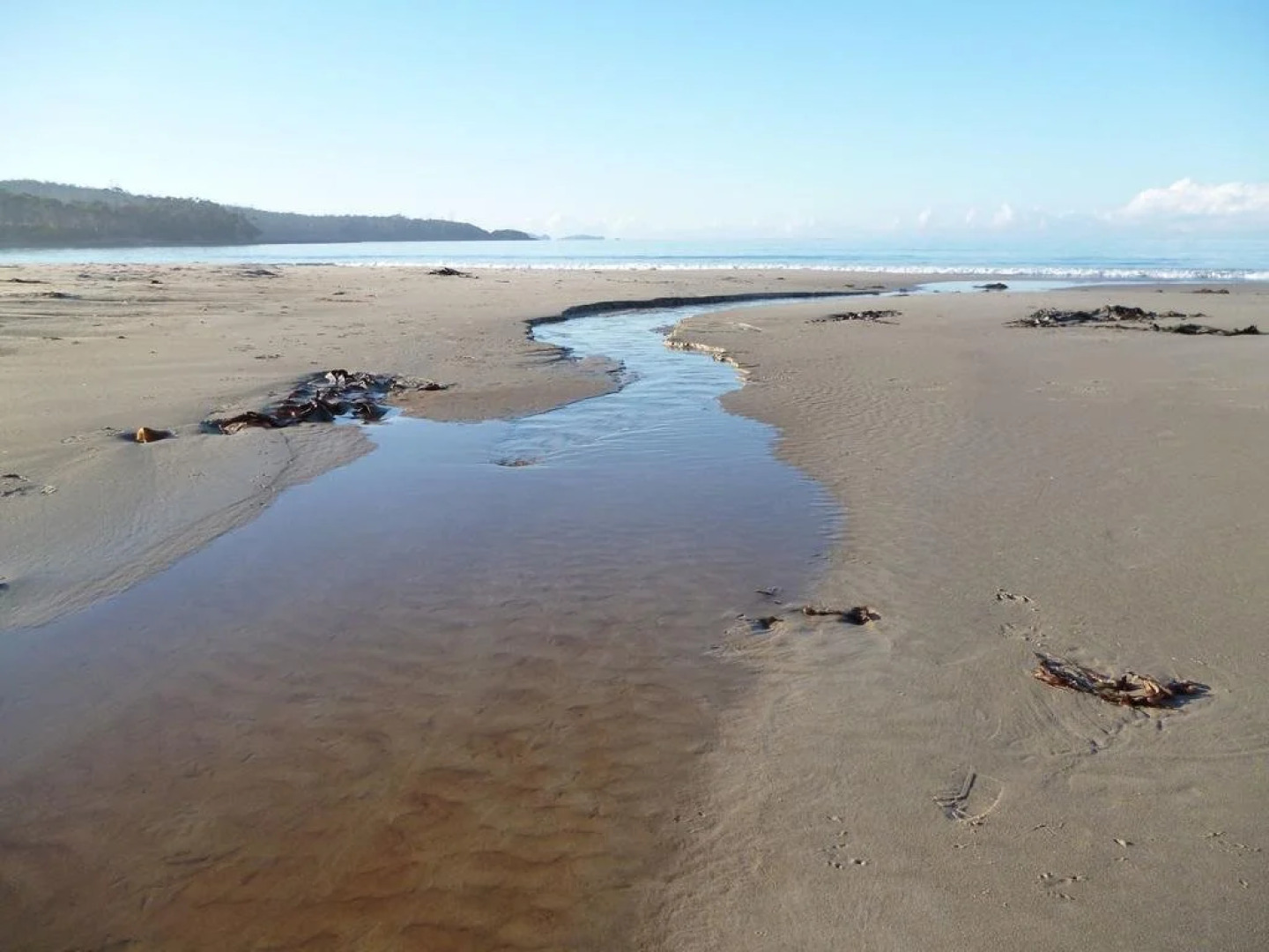 Southern Forest Accommodation