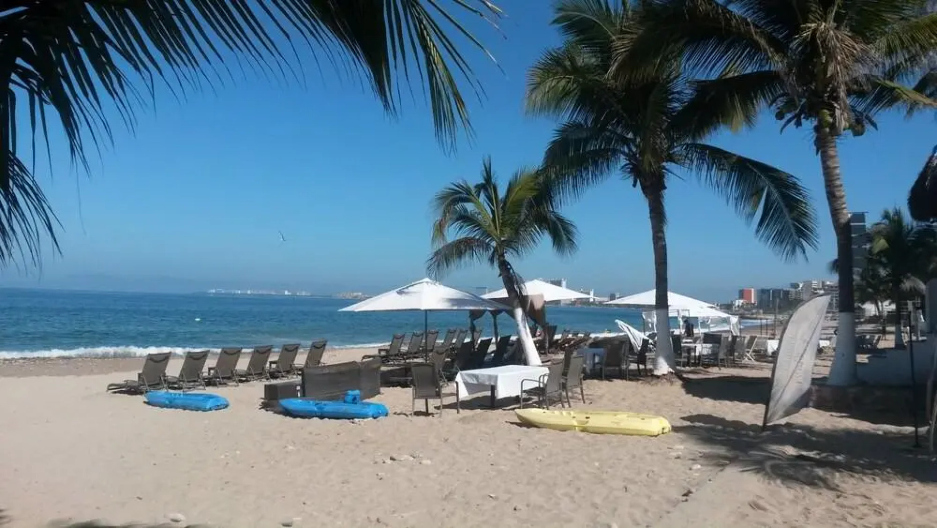 Le Petit Bonheur Studio