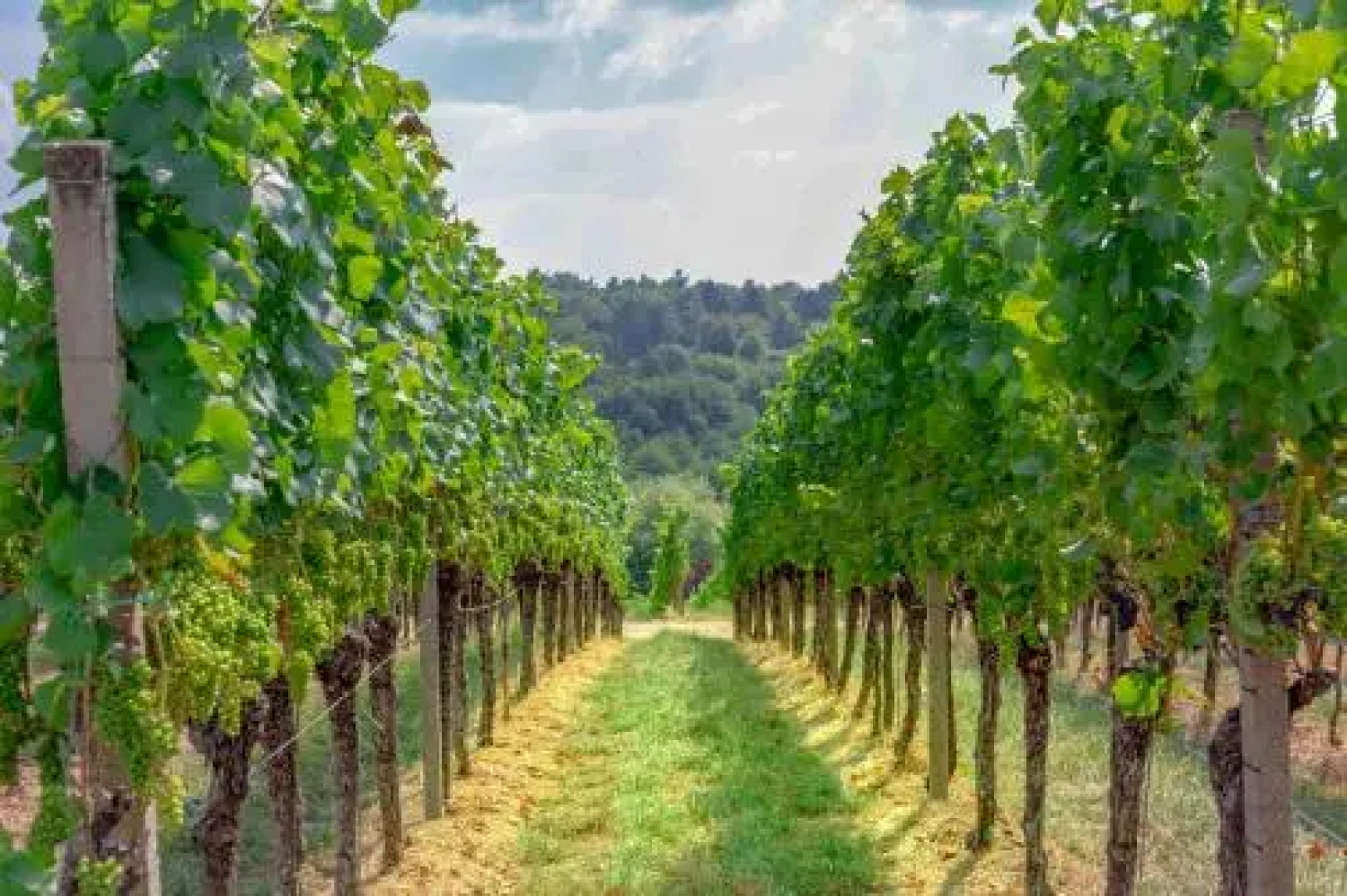 Pension Panoramablick