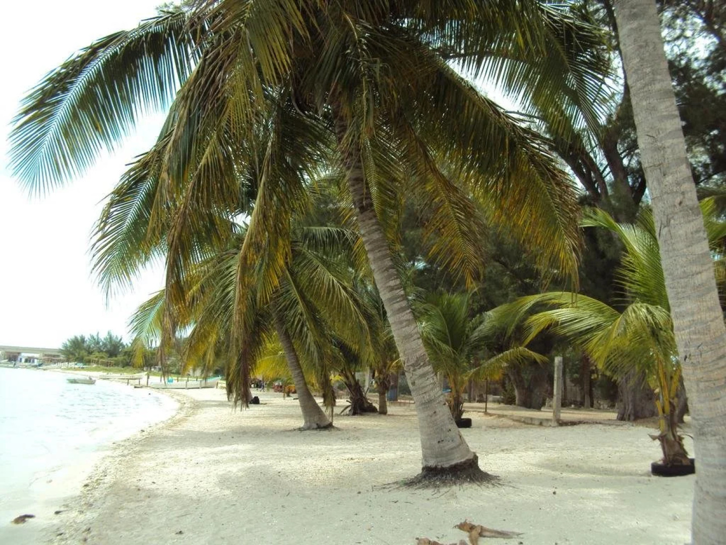 Freedom Shores "La Gringa" Hotel - Universally Designed