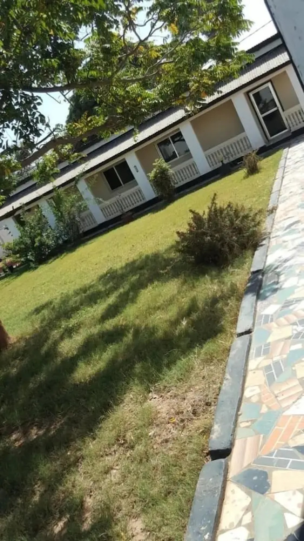 Bahamas Guest