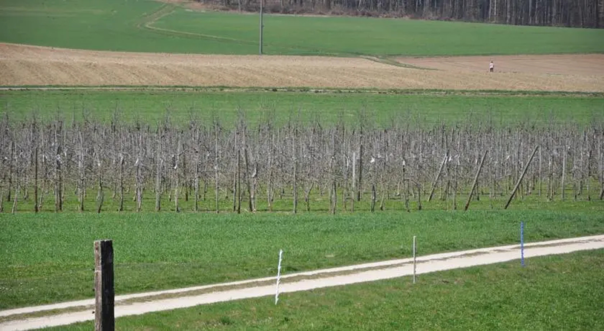 Ferienwohnung Gindele