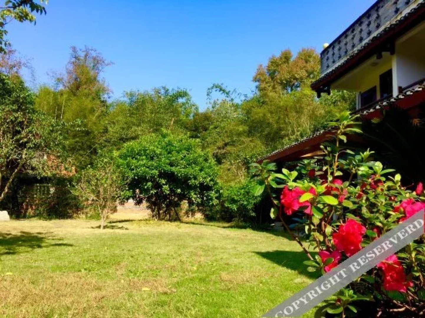 Snow Lion Riverside Resort