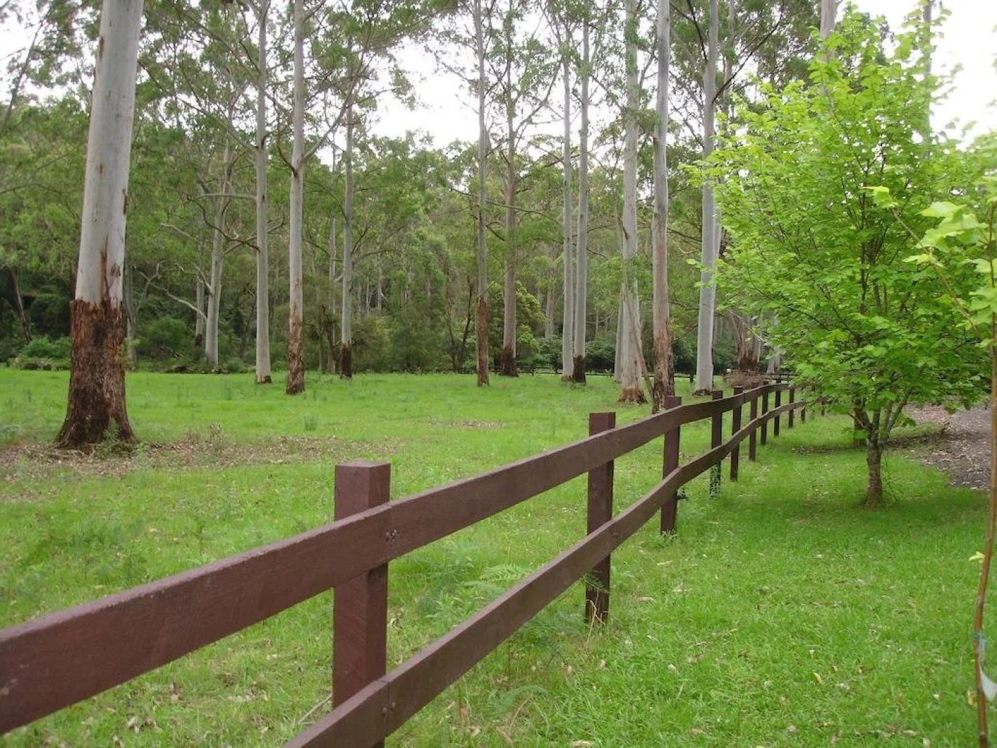 Dingley Dell