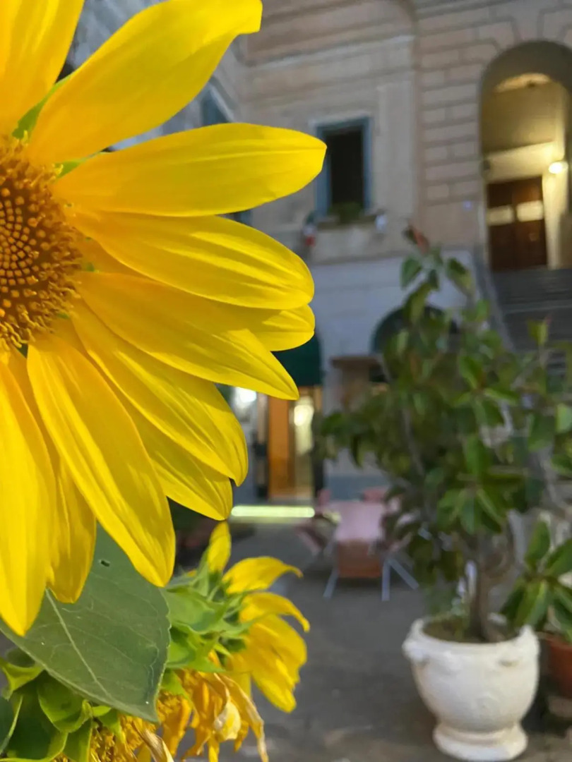 Rental House Angelina