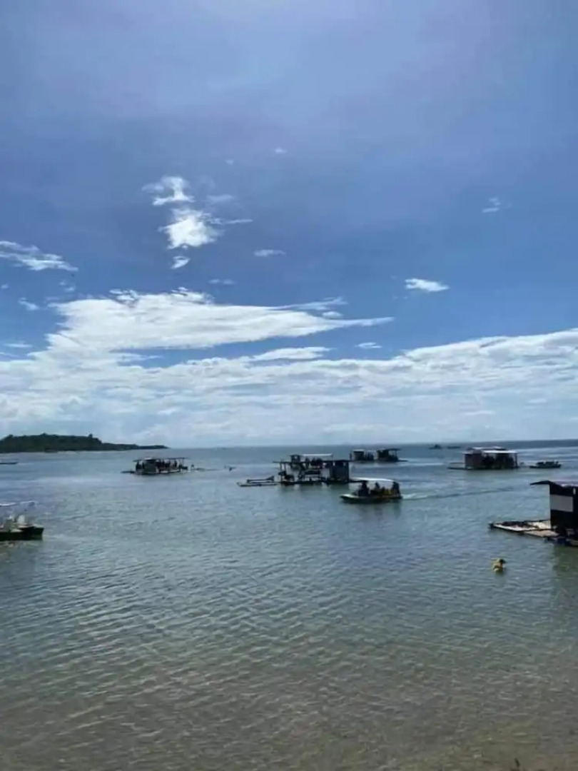 The Pelicans Castaway