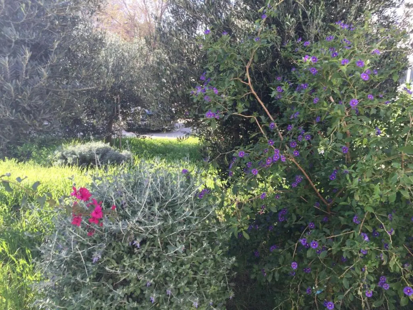 Apartments Villa Tribunj