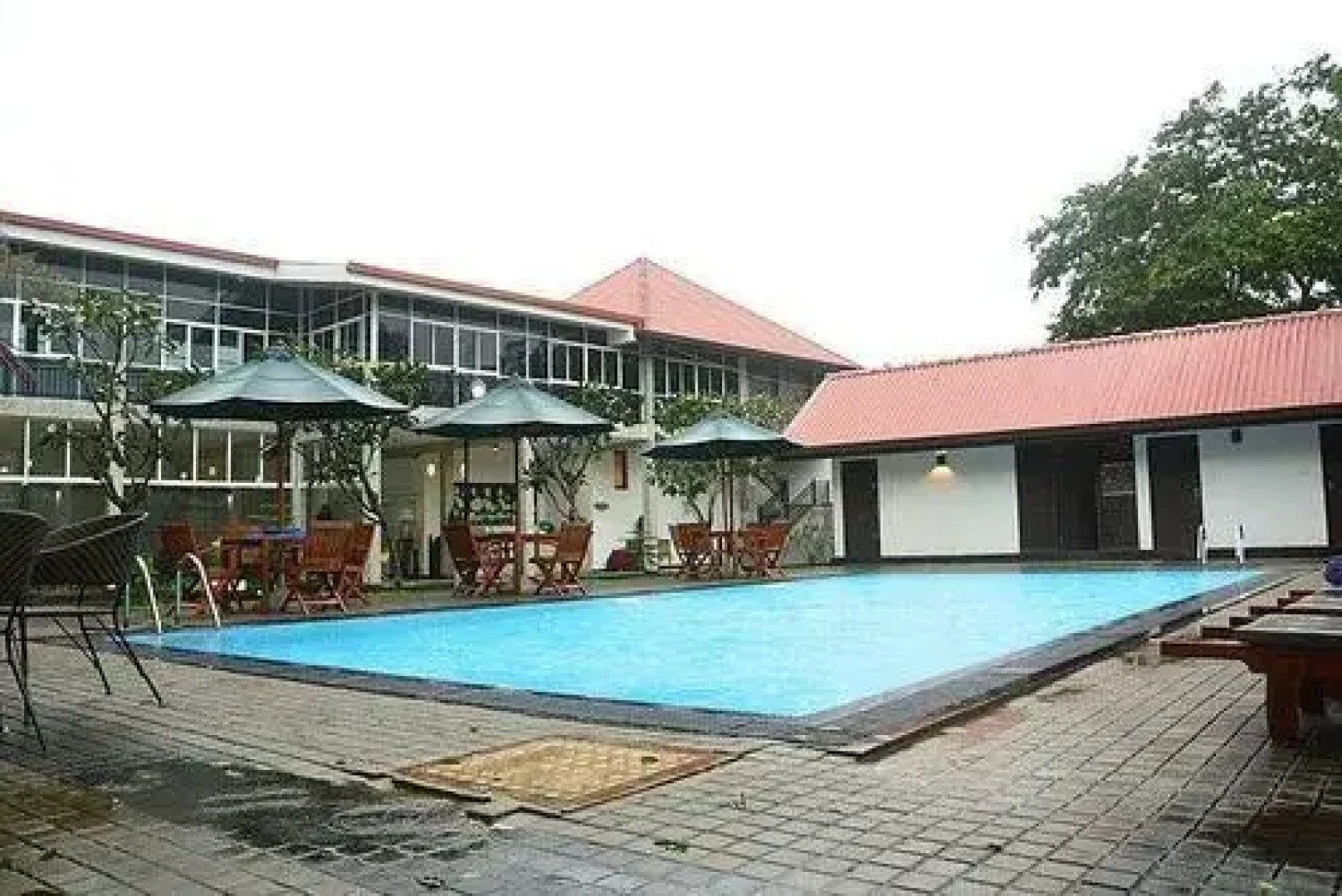 Oak Ray Elephant Lake