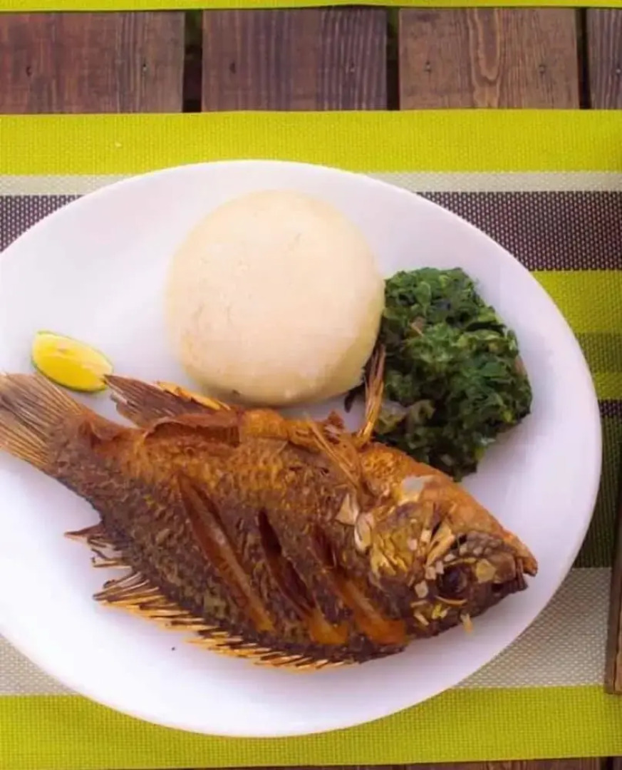 Royal Doves Garden Lake Baringo