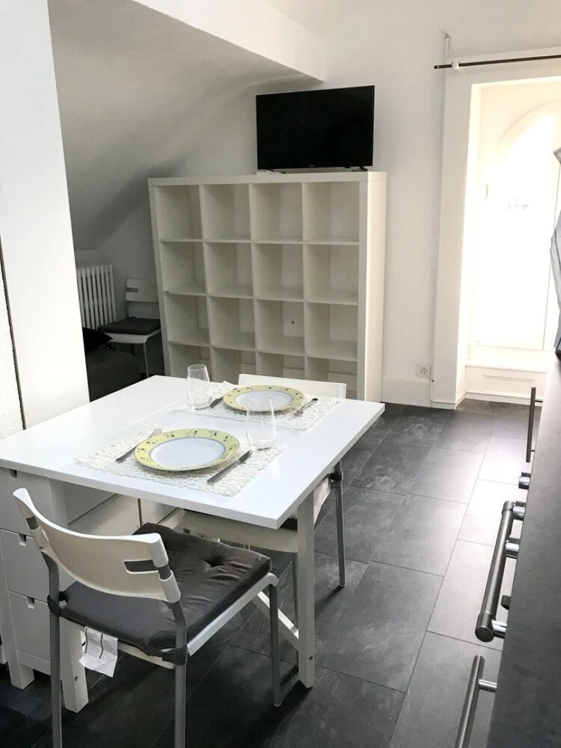 Studio in Neuchâtel, With Terrace and Wifi