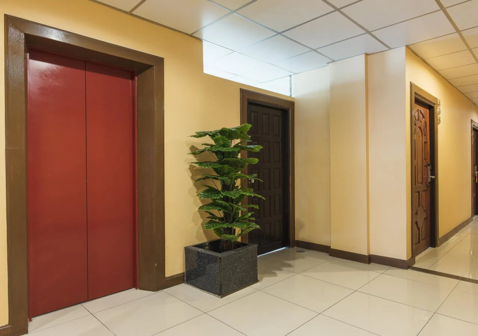 Lodge 61 Bed & Breakfast