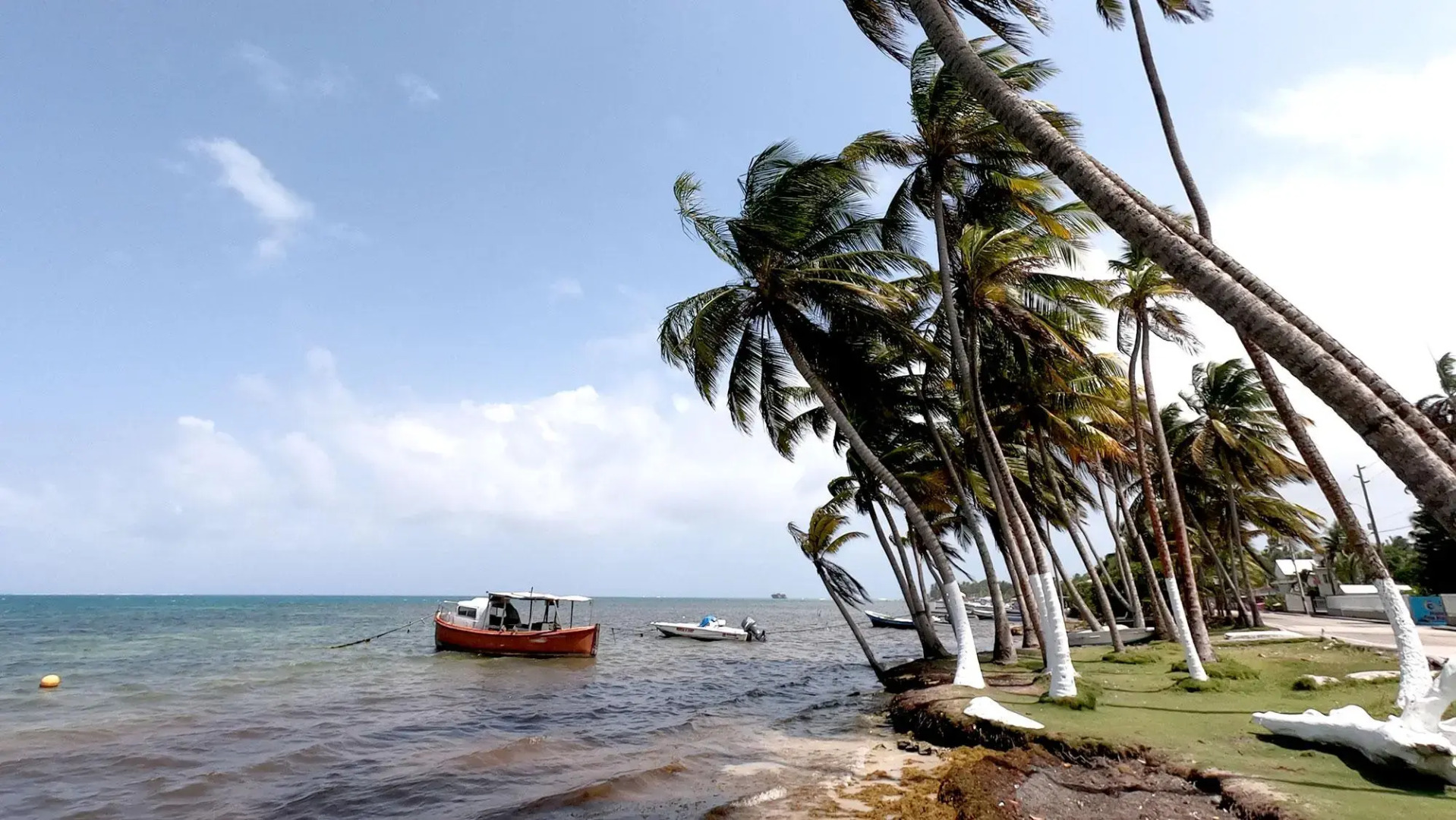 On Vacation Sea Horse All-Inclusive