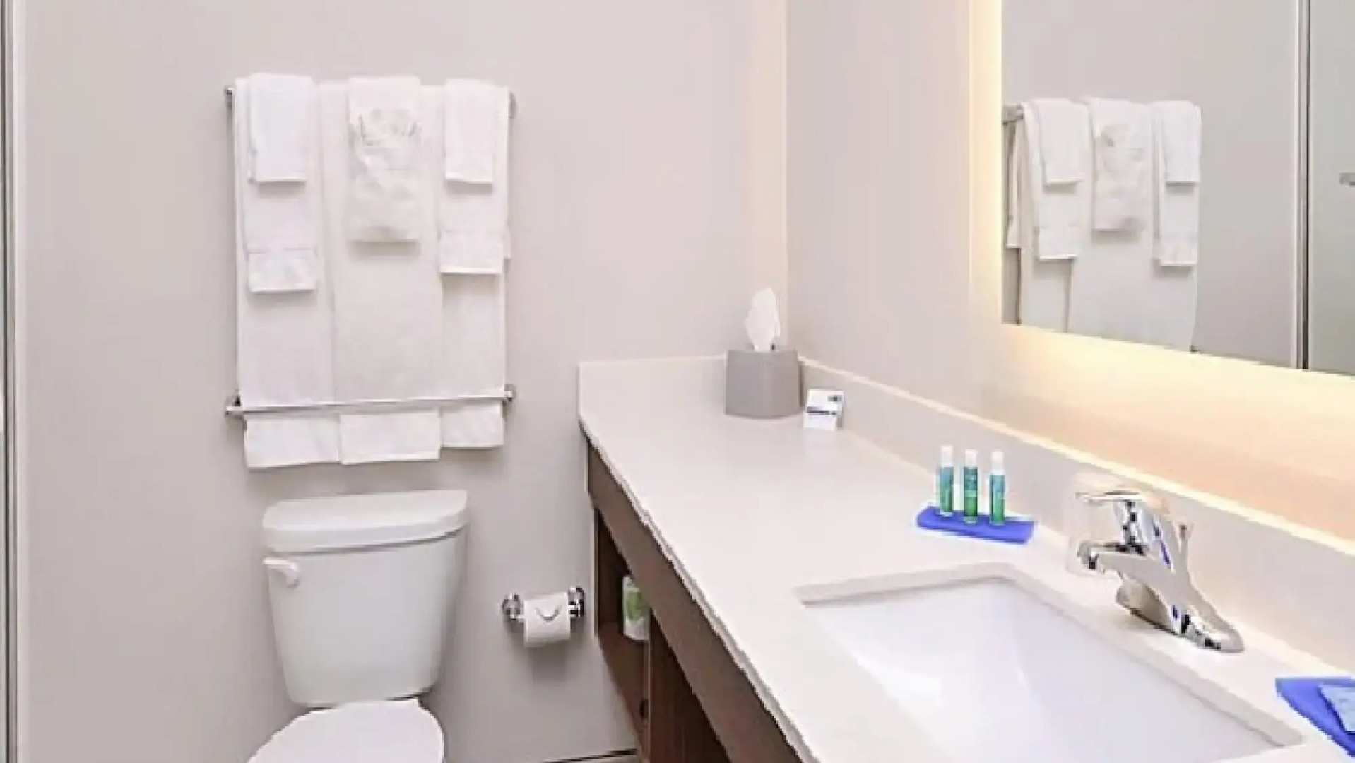 Holiday Inn Express Hotel & Suites La Place