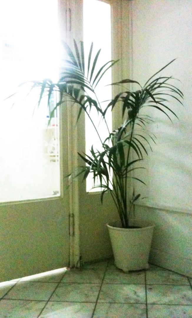 The Studenthostel Utrecht