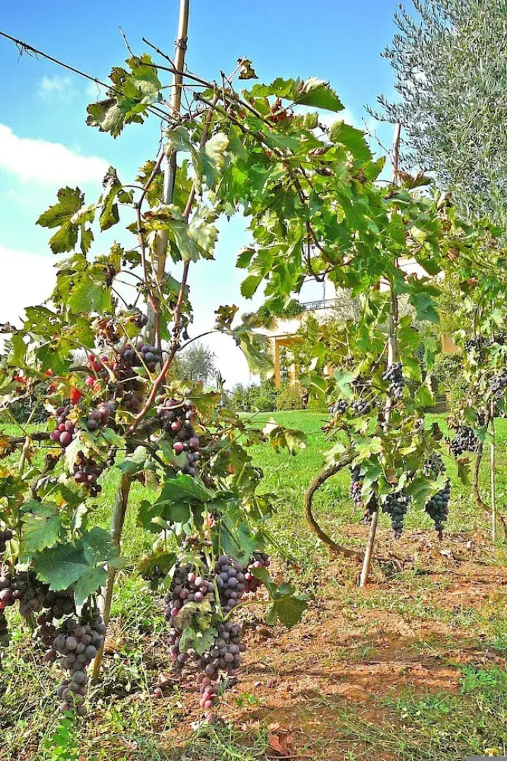 Villa Montecasciano - 8 Sleeps Private Garden