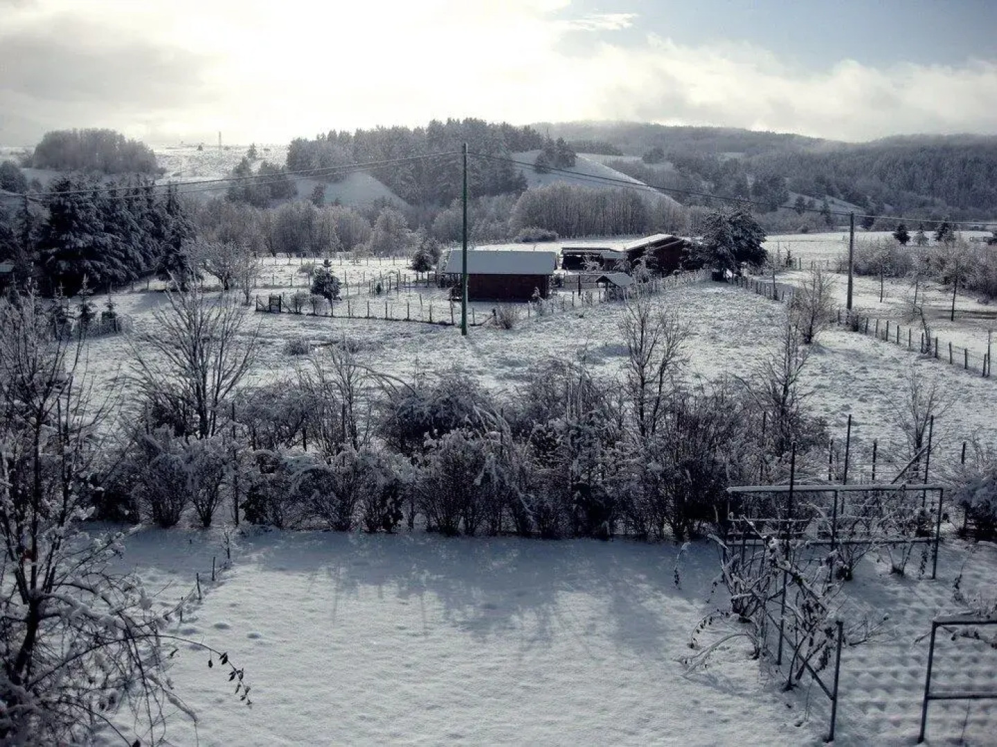 San Lorenzo Si Alberga