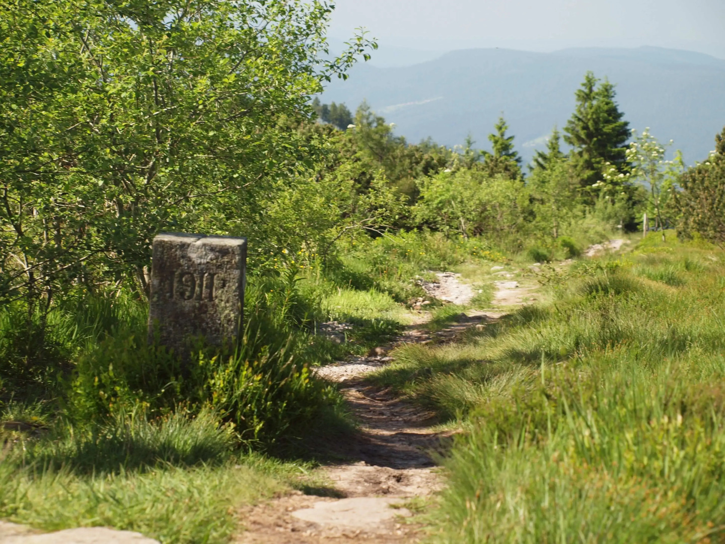 Wellness- & Nationalpark Hotel Schliffkopf Bwsc