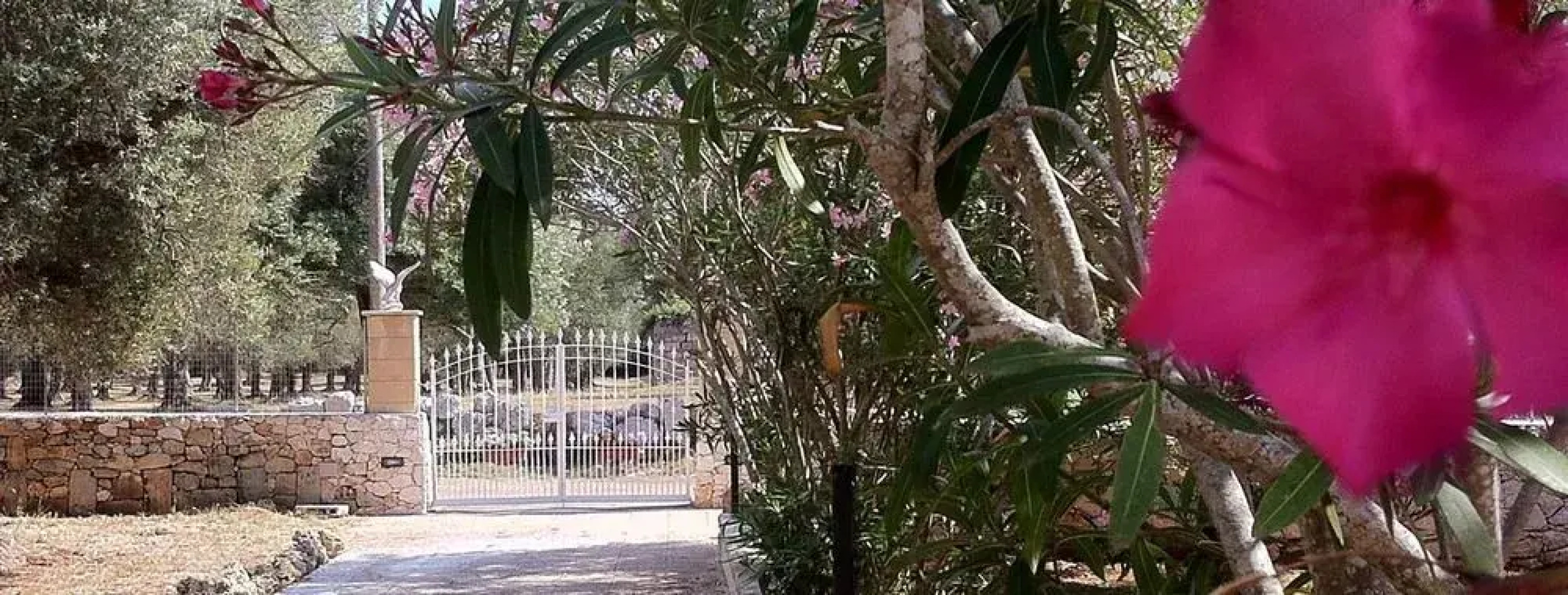 Relais Masseria Petrusella