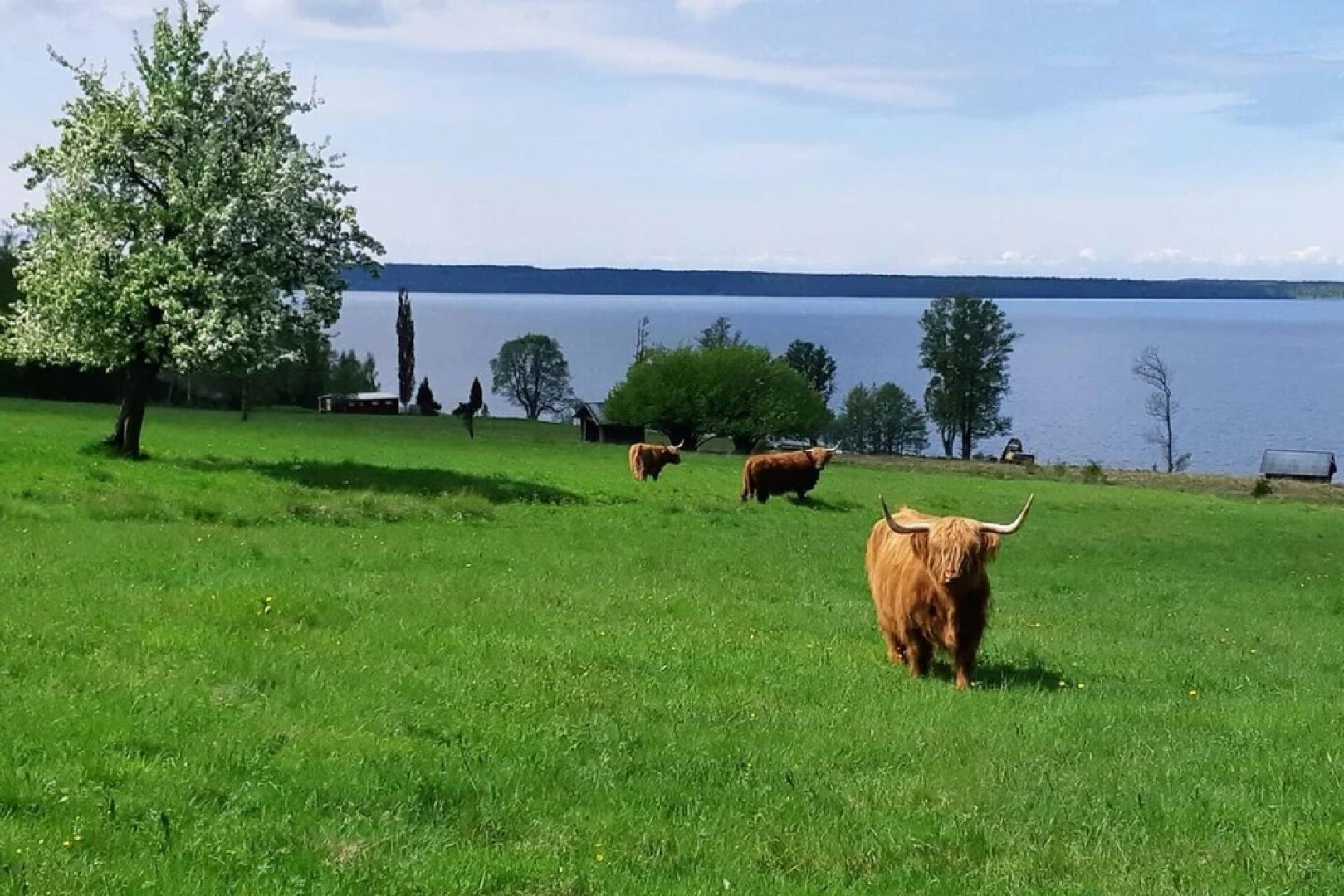 Stunning Sleeps 9 Lakeview Loghome, Spa & Yoga