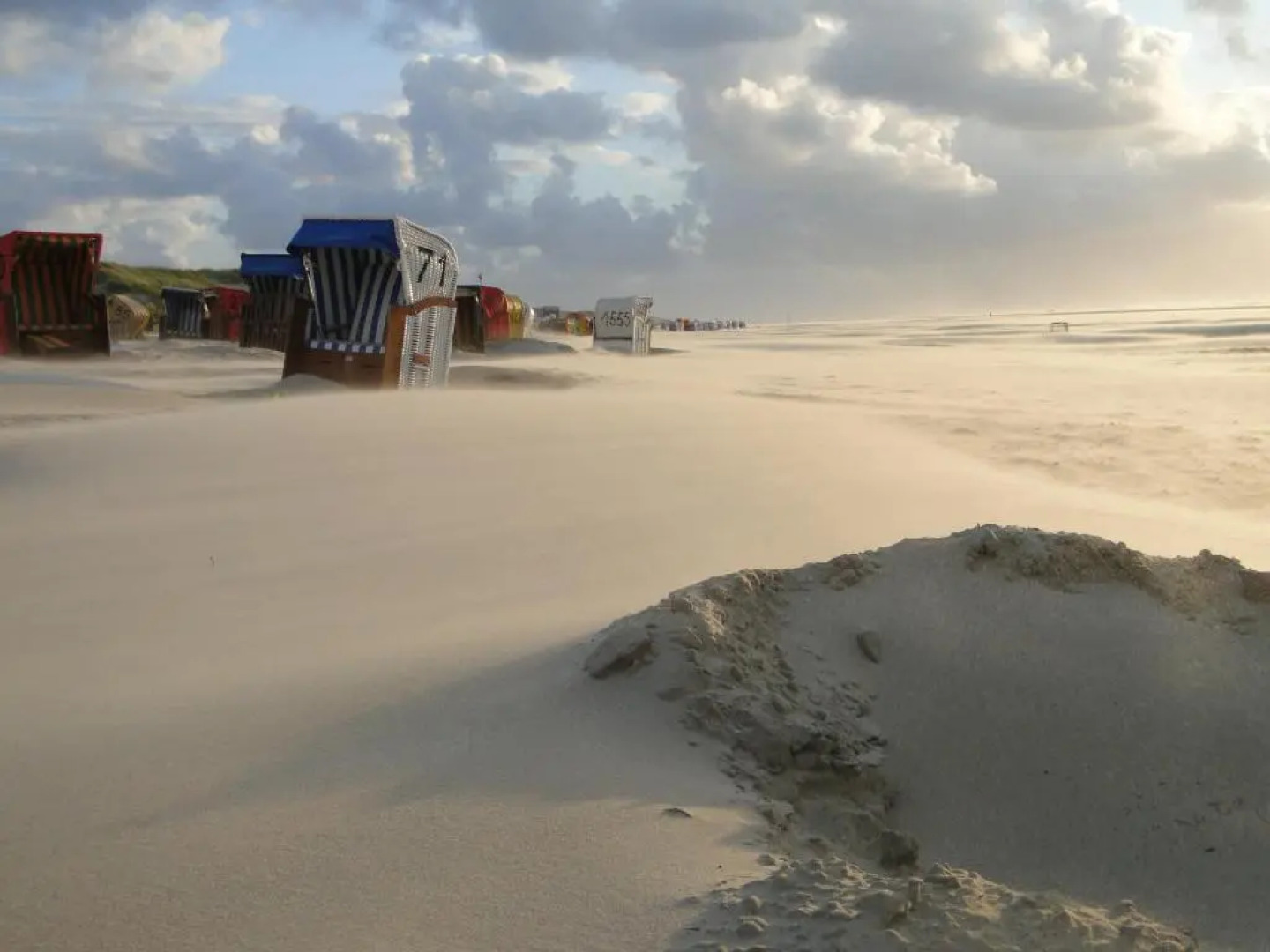 Inselresidenz Strandburg - Studio 110 (Ref: 50961)