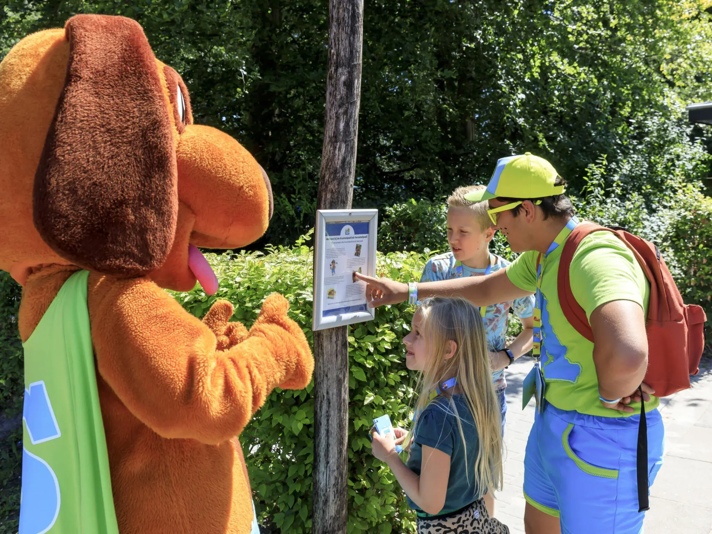 Nice Chalet With AC, on the Drents-friese Wold