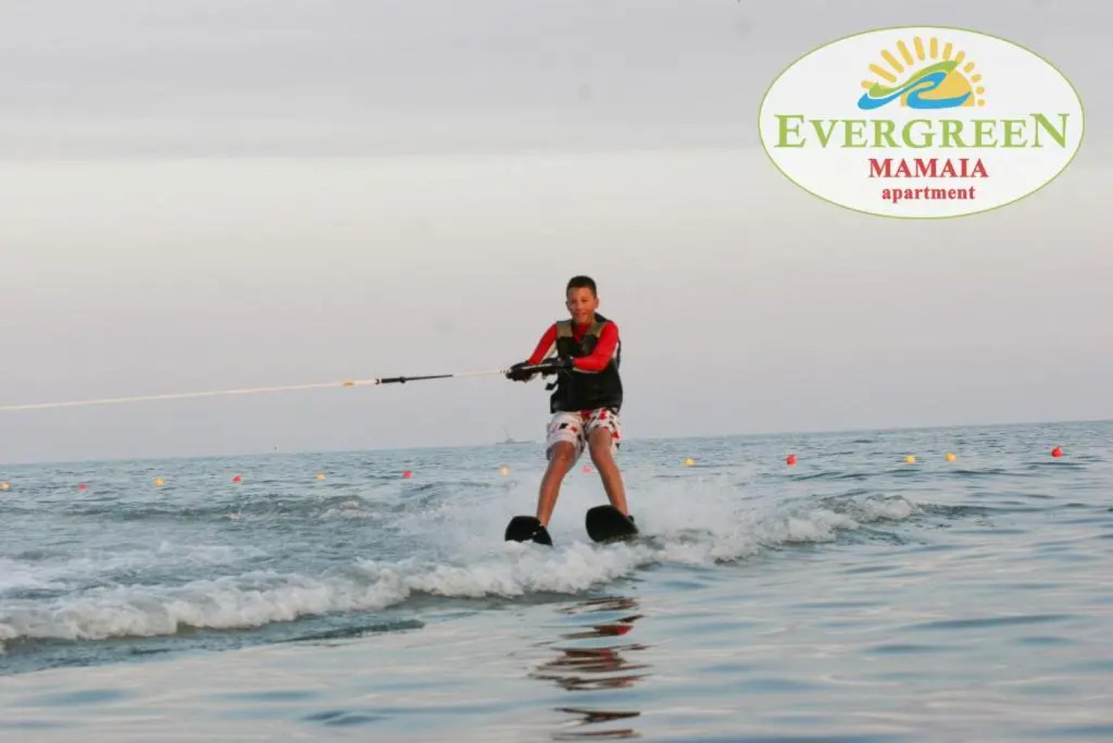 Evergreen Vlas Mamaia