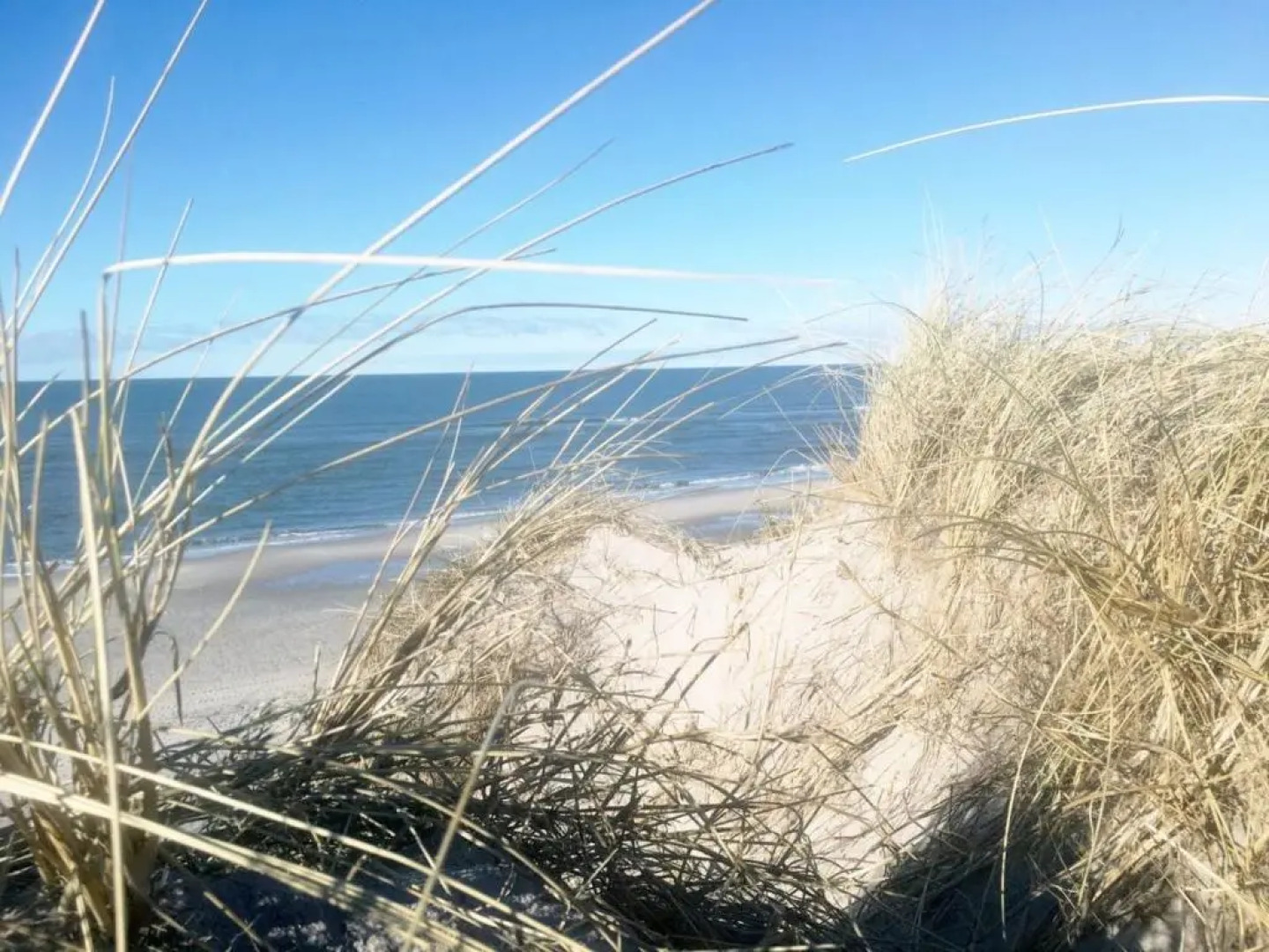 Søndervig Camping & Cottages