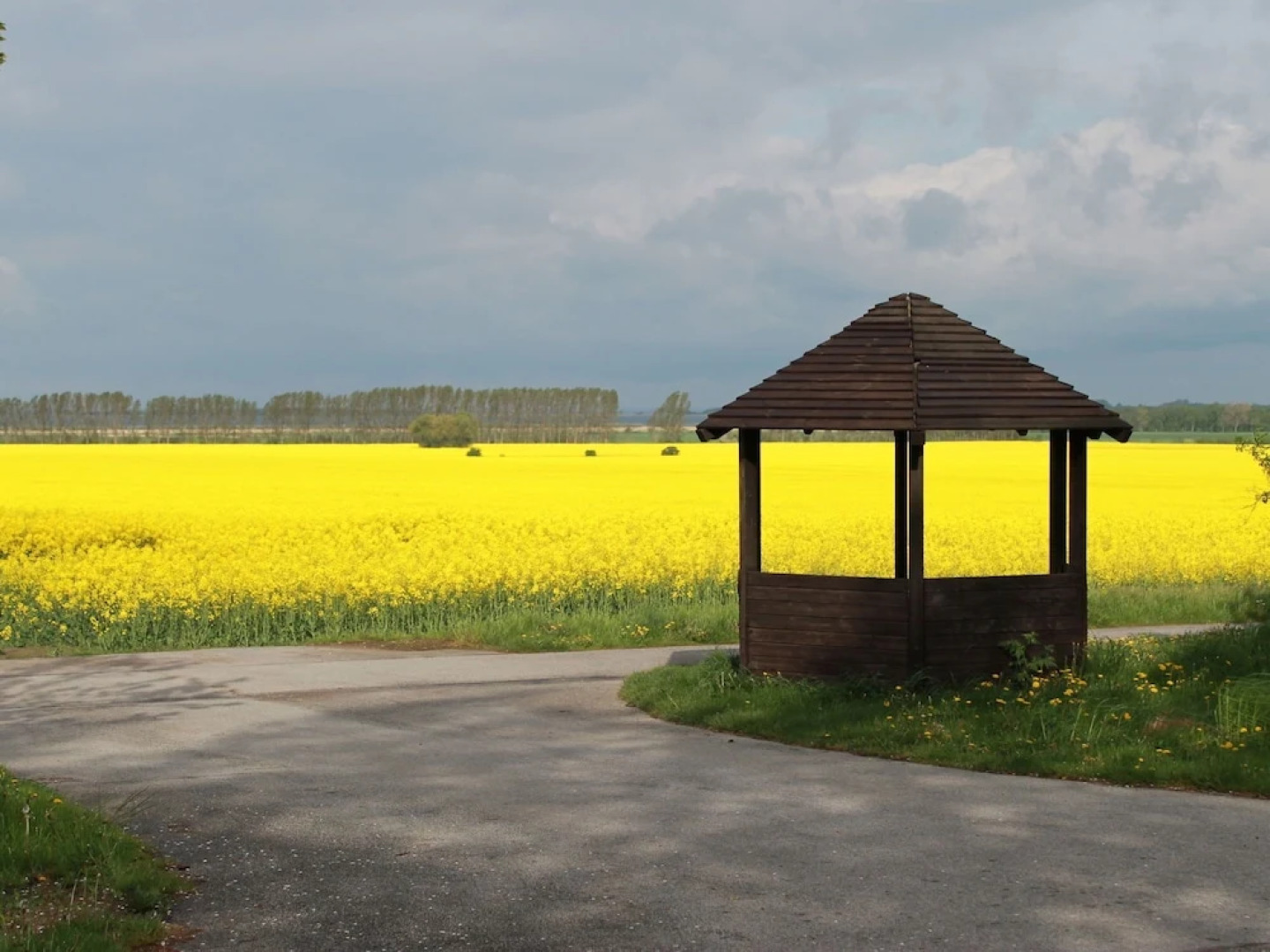 Rustic Apartment in Biendorf With Sauna