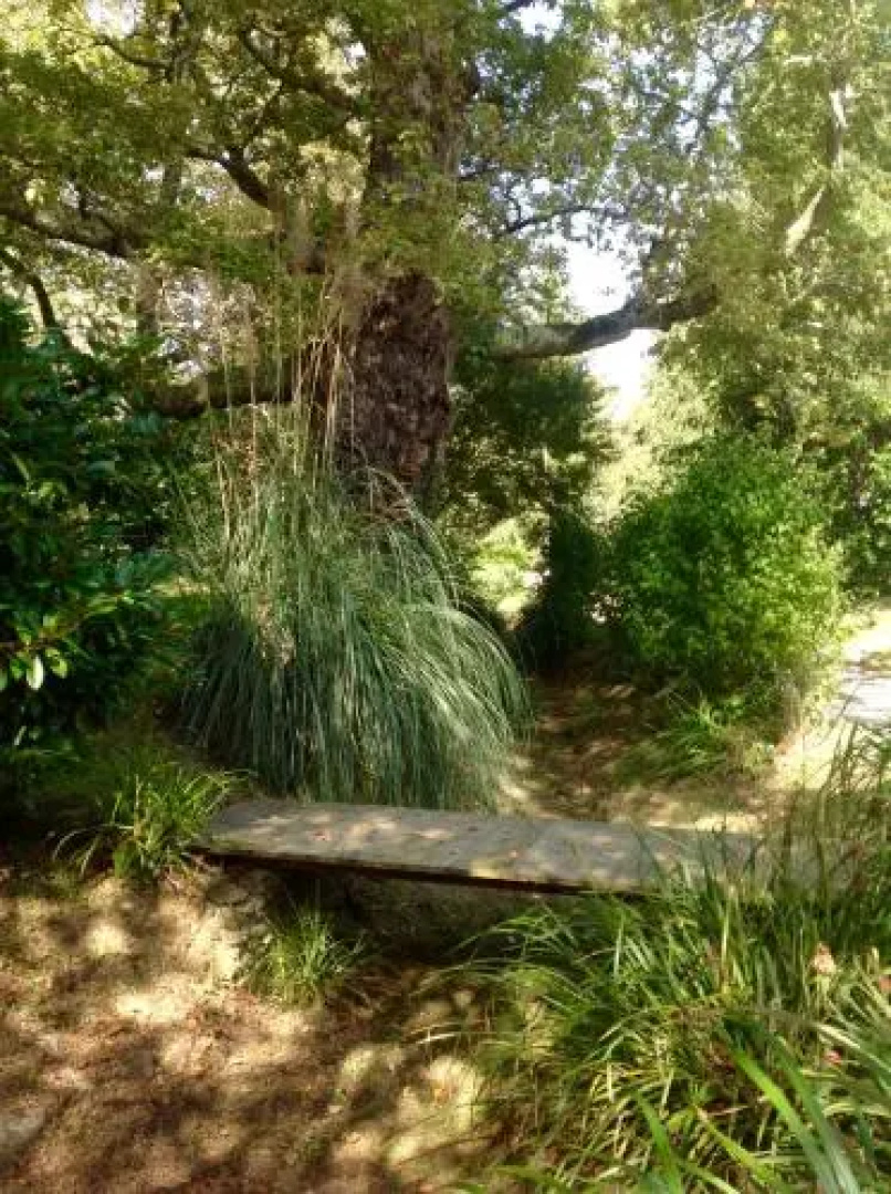 Gite-Holiday Home Au Moulin 1771