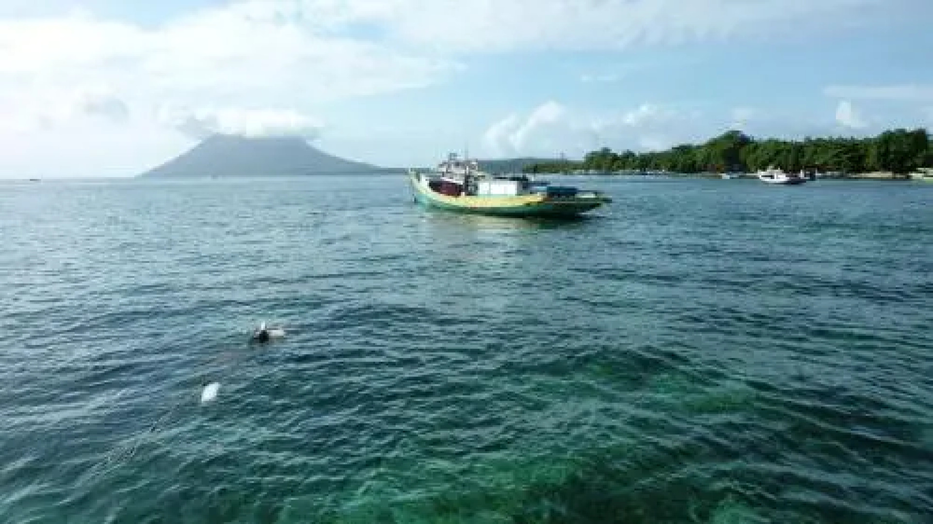 Raja Laut Bunaken