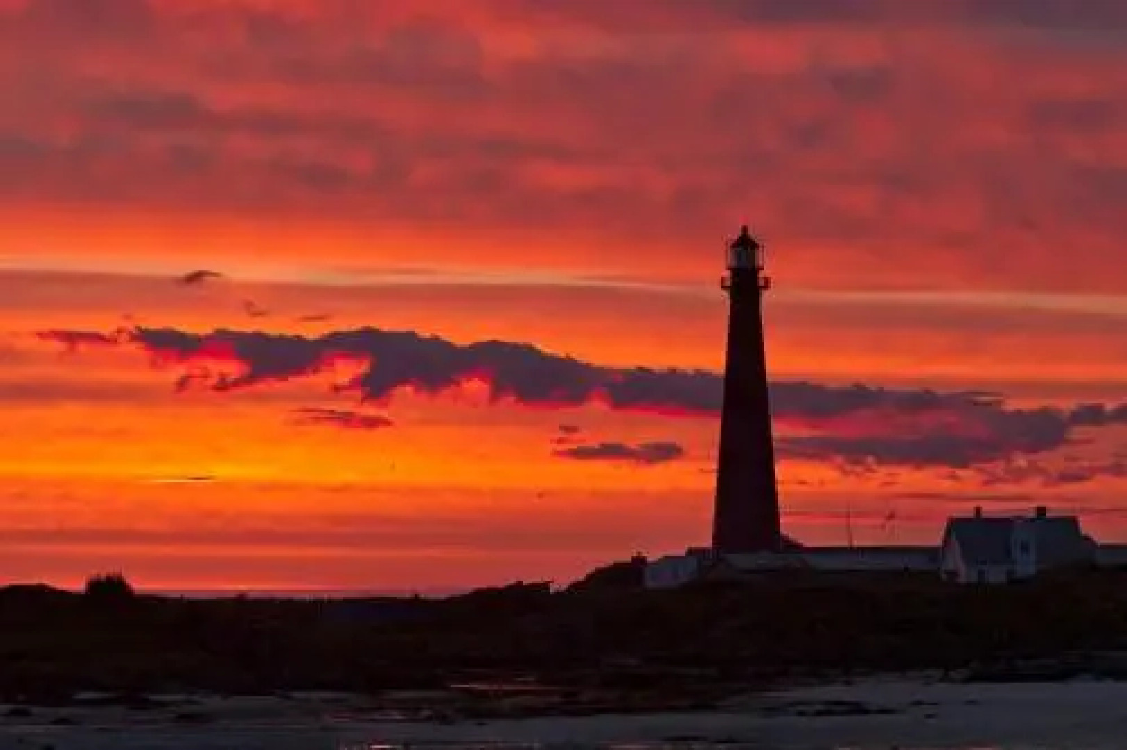 Tore Hunds Apartments