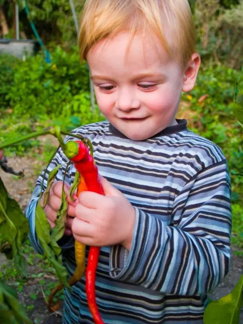 Gartenhotel & Weingut Pfeffel Dürnstein
