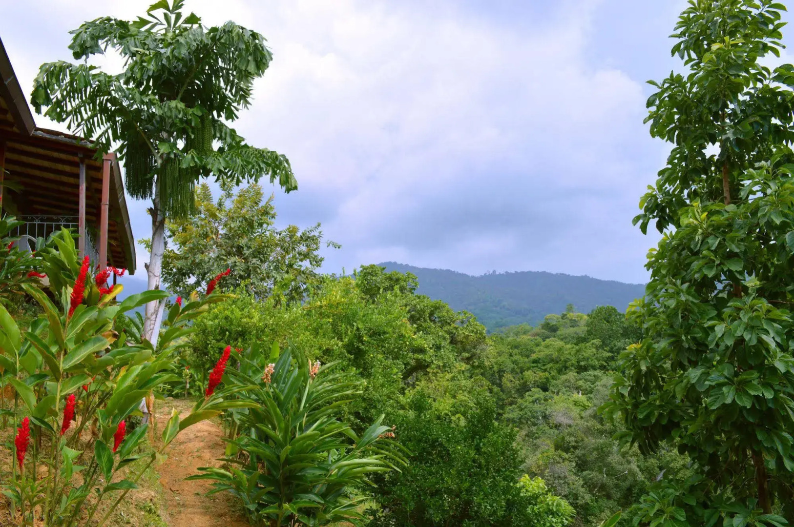 Sweet Harmony Hotel Boutique by Xarm Hotels