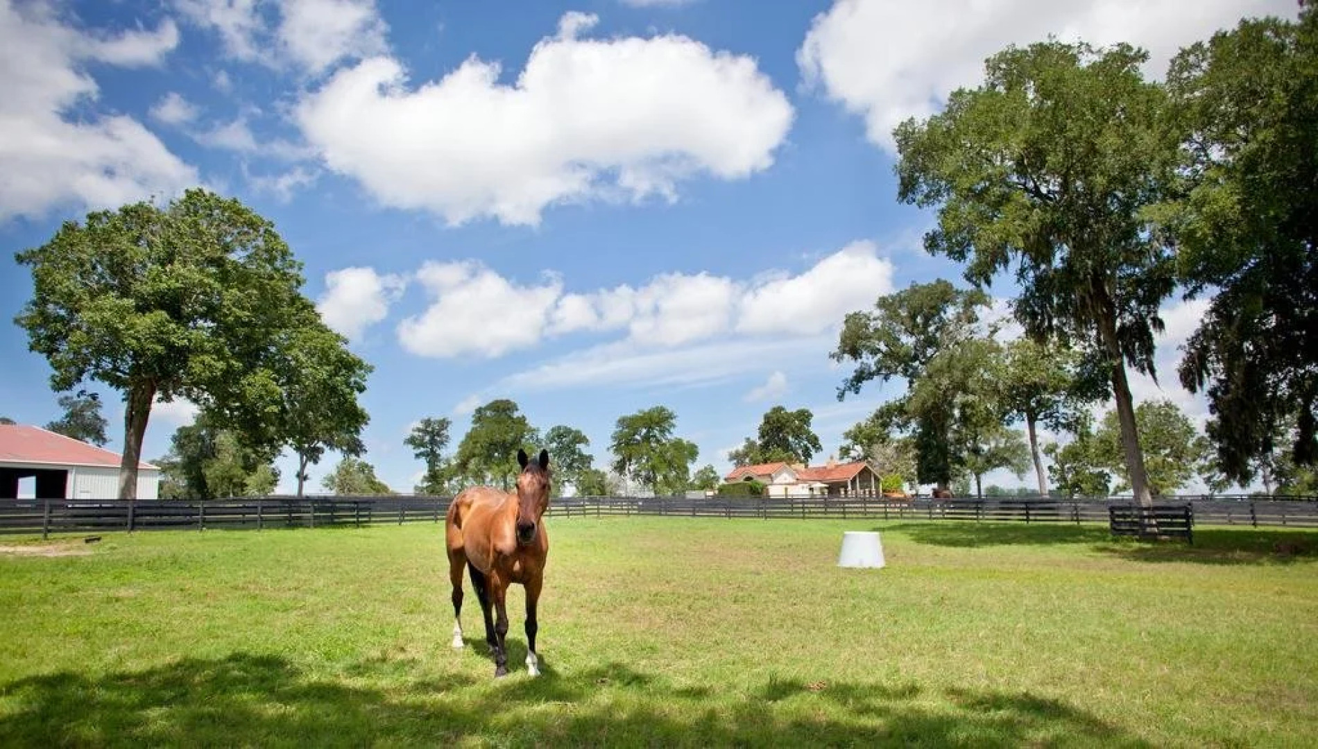 The Inn at Dos Brisas