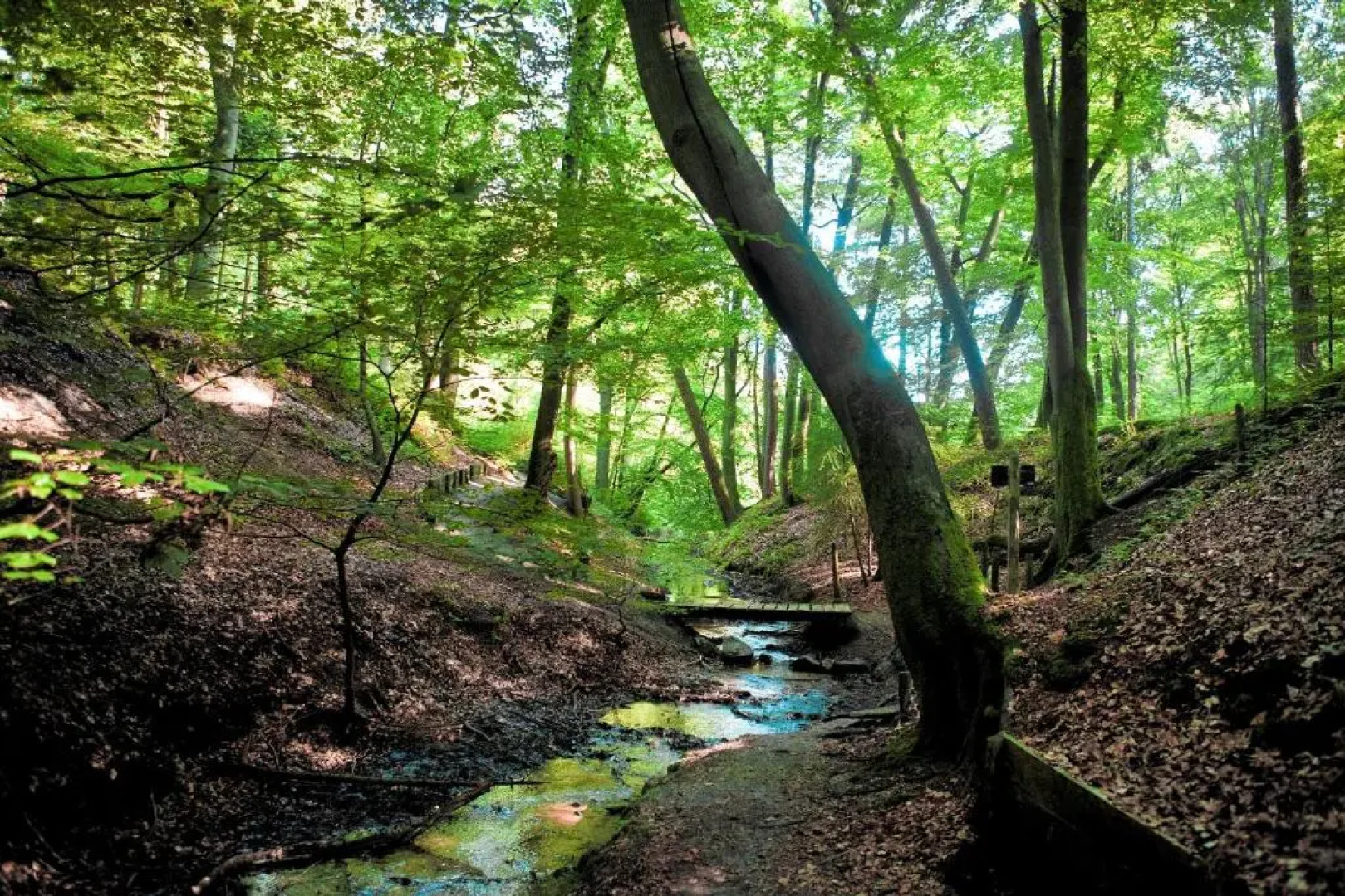 Boutique Hotel Beekhuizen