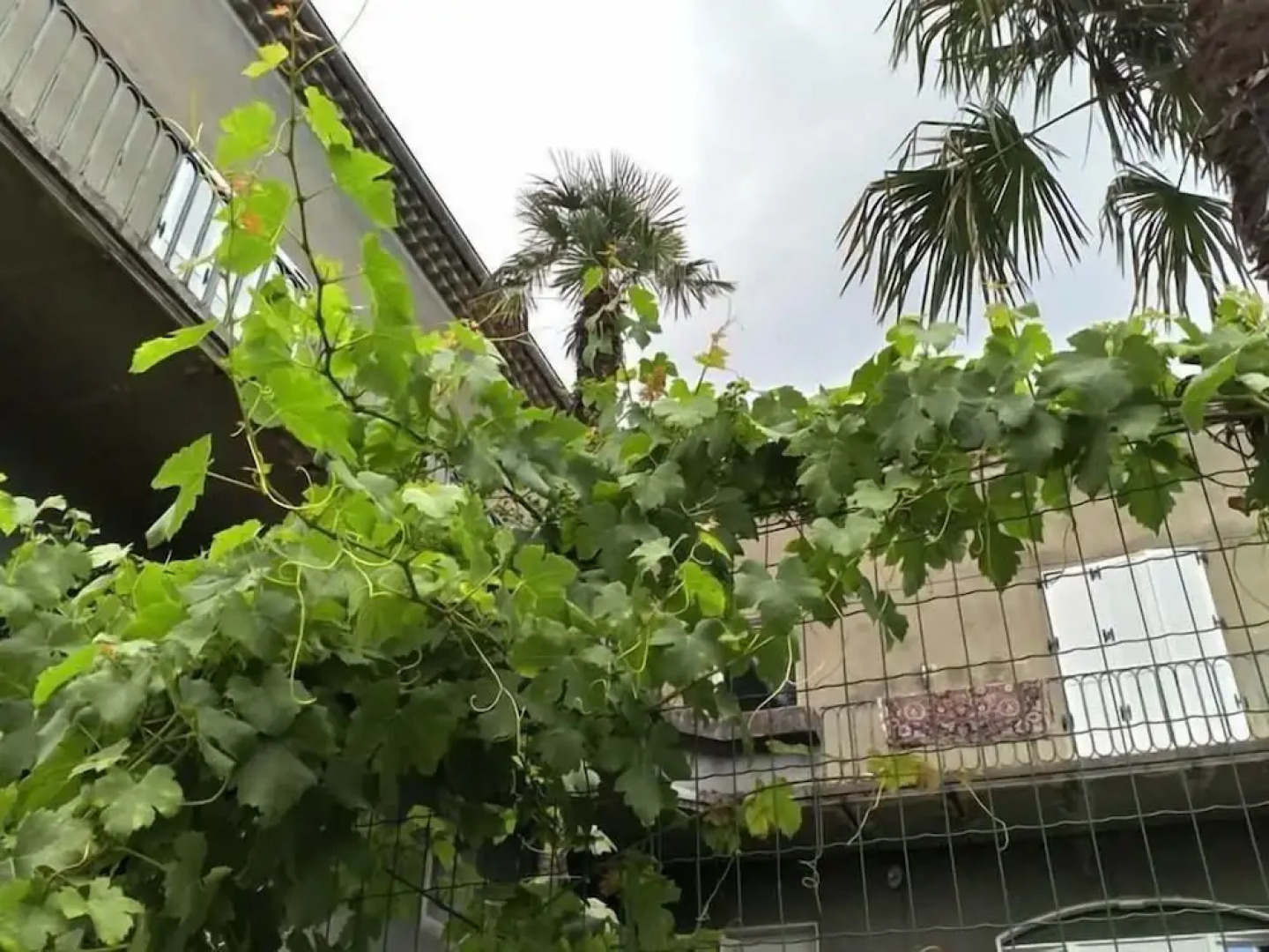 Maison Jaffran, Suite en Ville