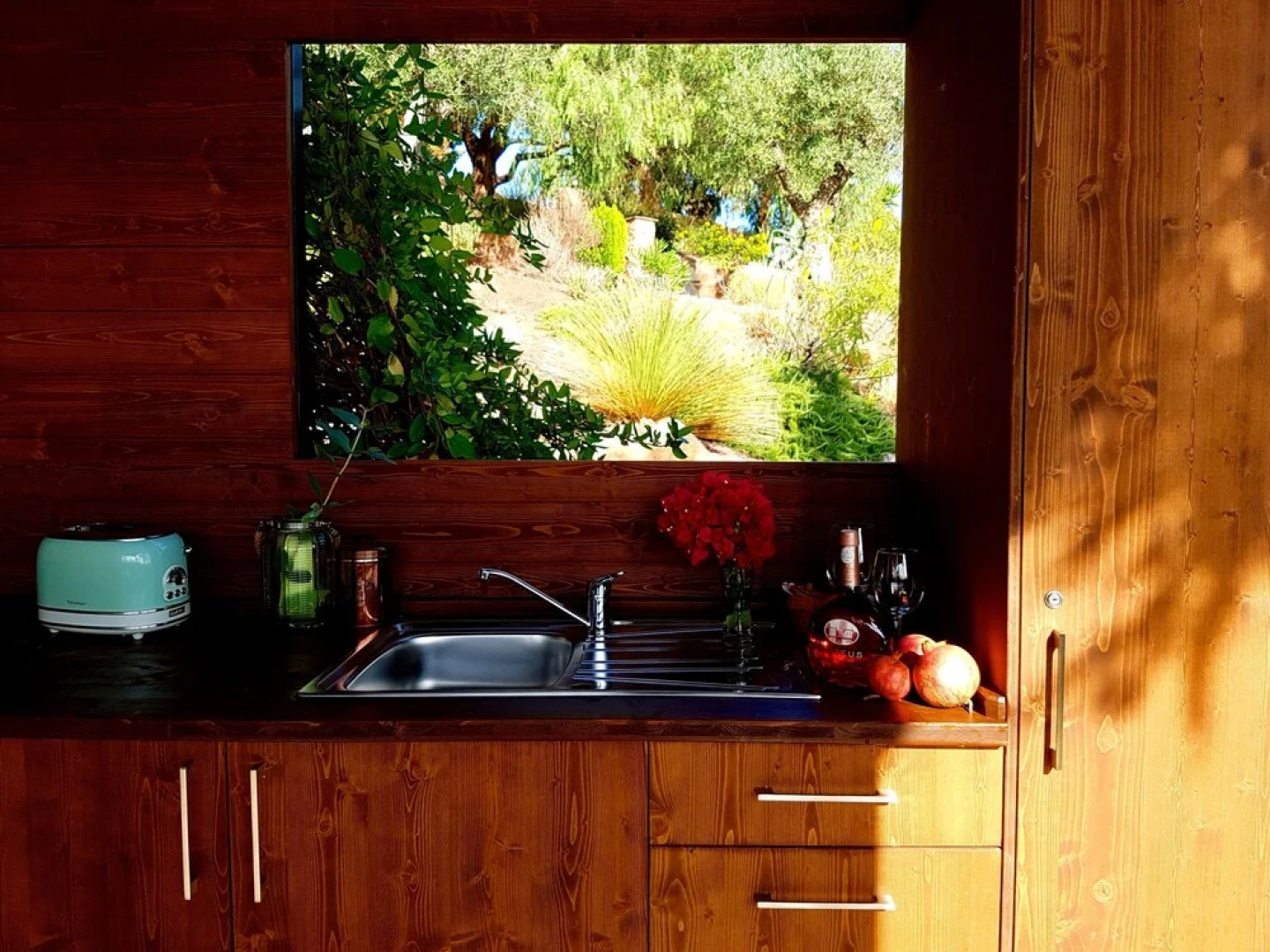 Gato Preto de Silves