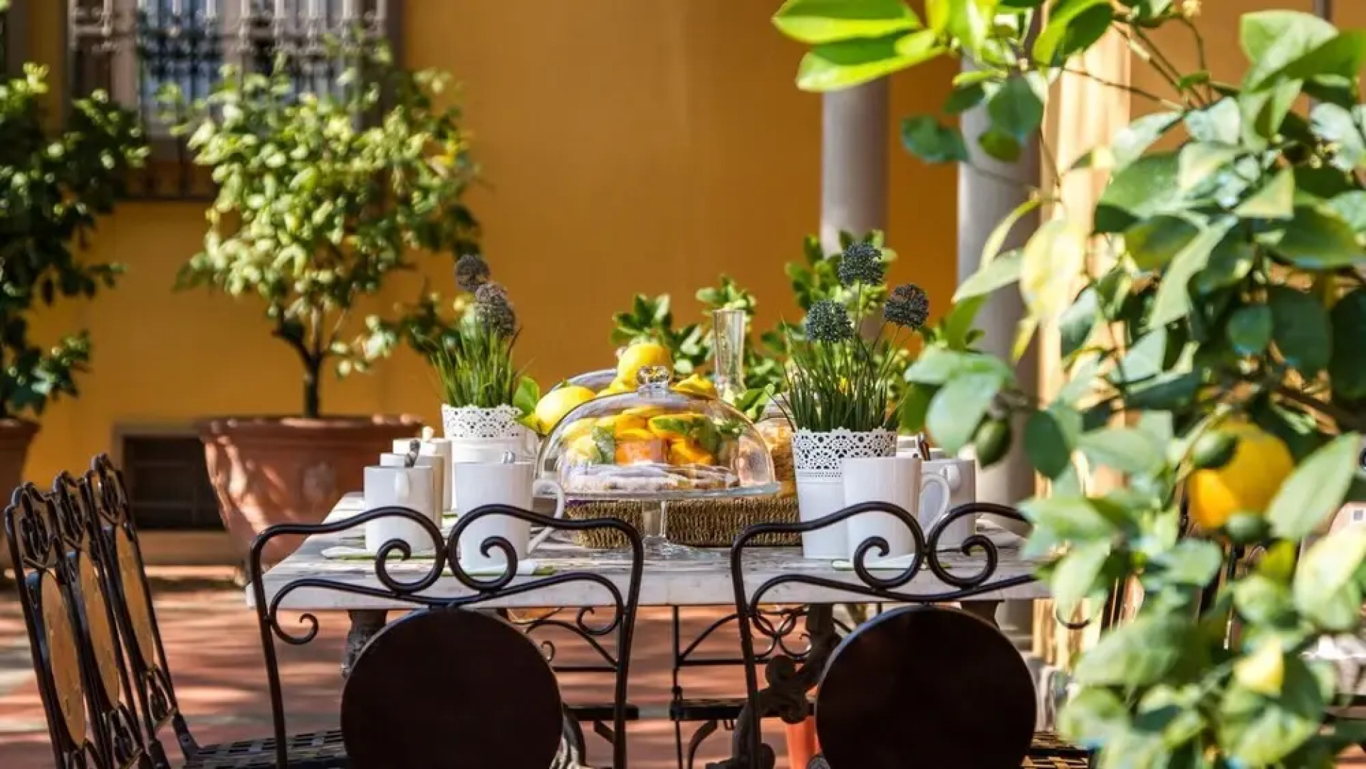 La Grande Quercia 10 2