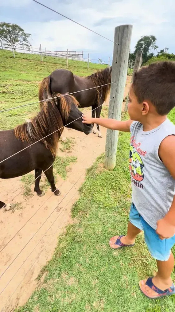 Hotel Fazenda Ararita