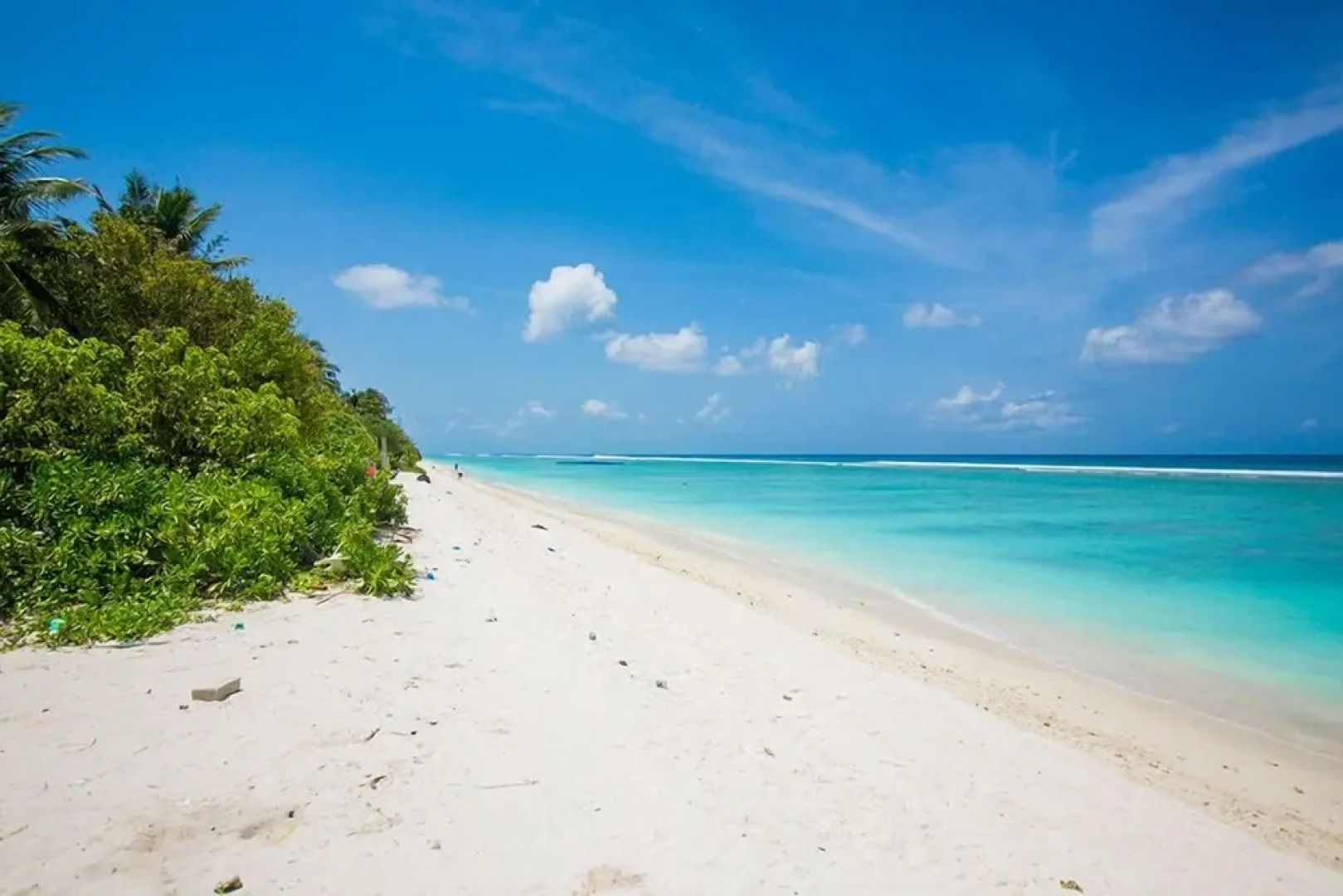 Tropicana Beach and Spa