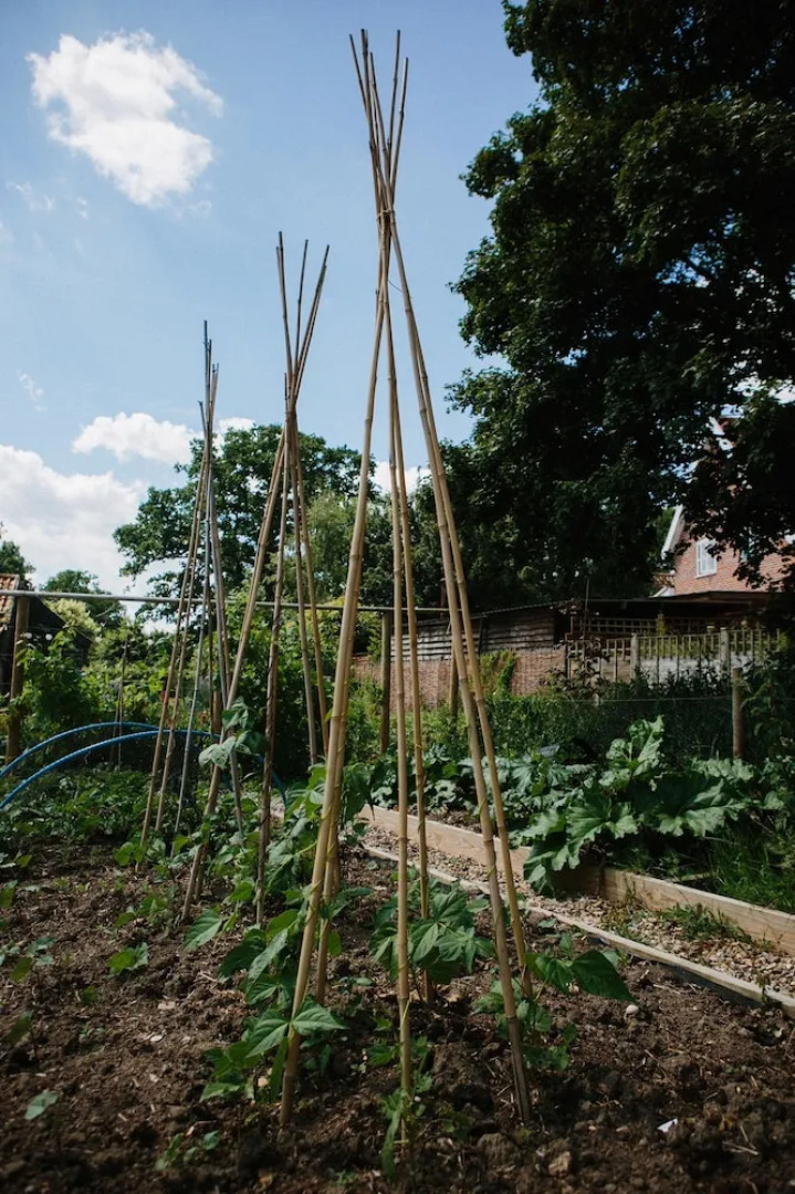 The Cluster @ The Queen - Caravan Park