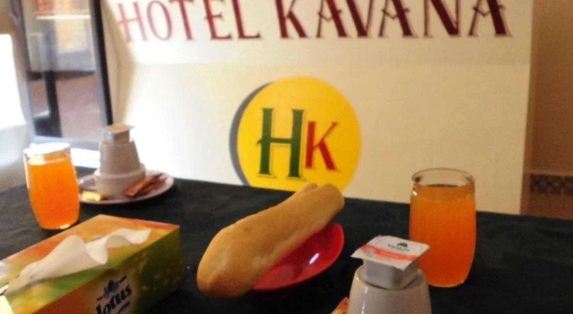 Hotel Kavana