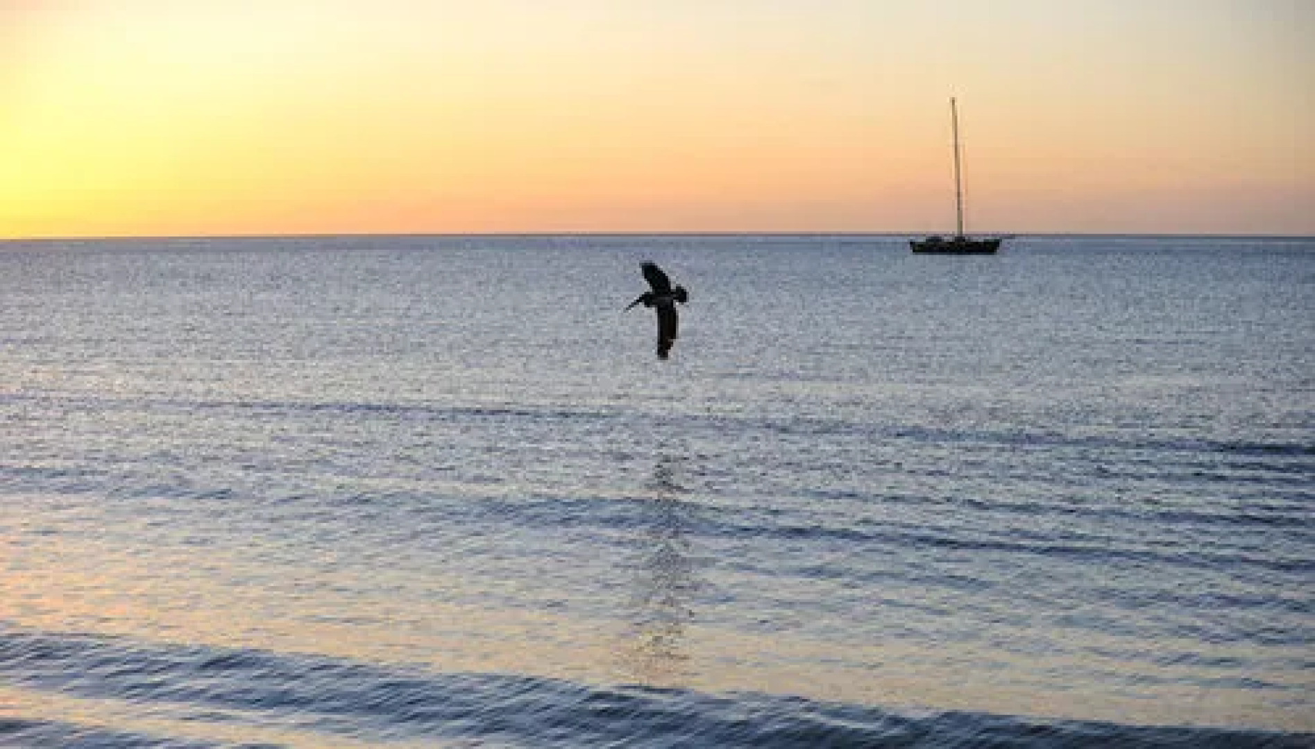 Picard Beach Cottages