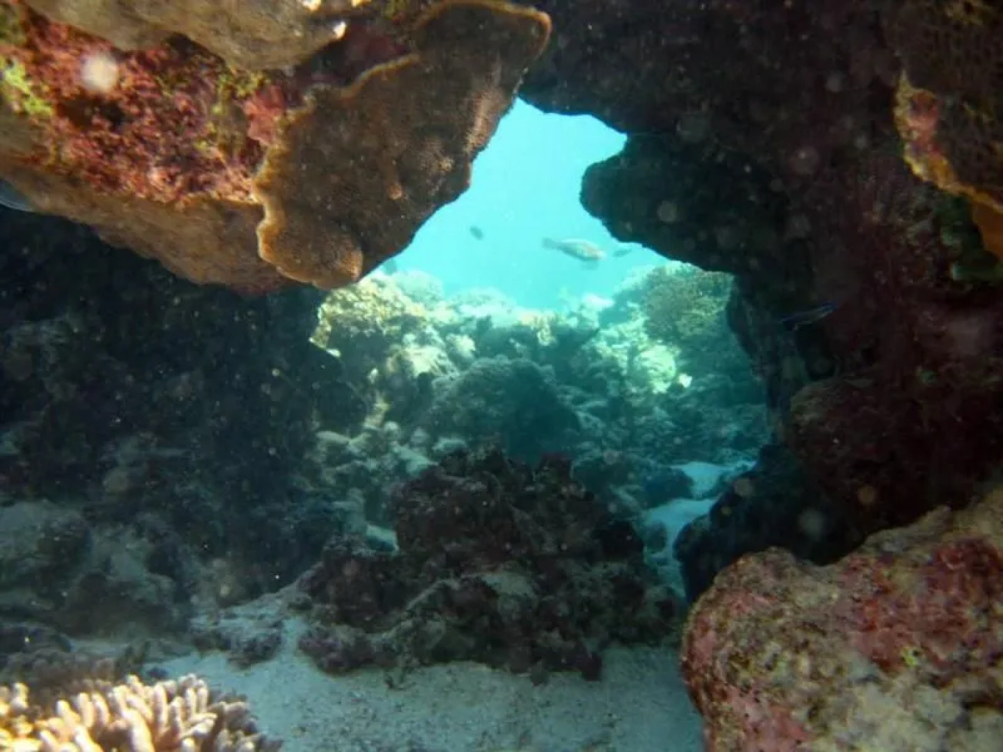 Ningaloo Coral Bay